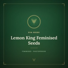 Lemon King Feminised Seeds