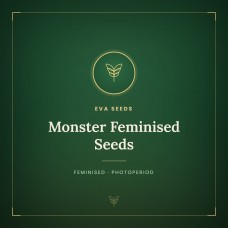 Monster Feminised Seeds