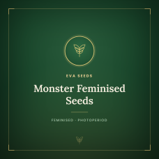 Monster Feminised Seeds Monster Feminised Seeds