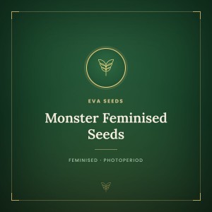 Monster Feminised Seeds Monster Feminised Seeds