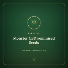 Monster CBD Feminised Seeds Monster CBD Feminised Seeds