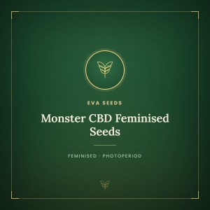 Monster CBD Feminised Seeds Monster CBD Feminised Seeds
