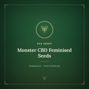 Monster CBD Feminised Seeds Monster CBD Feminised Seeds