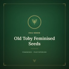 OId Toby Feminised Seeds