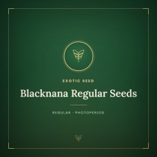 Blacknana Regular Seeds