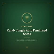 Candy Jungle Auto Feminised Seeds