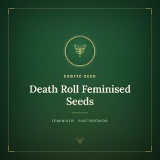 Death Roll Feminised Seeds