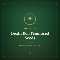 Death Roll Feminised Seeds Death Roll Feminised Seeds