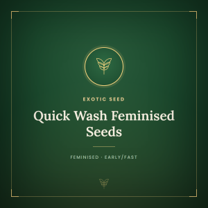 Quick Wash Feminised Seeds Quick Wash Feminised Seeds