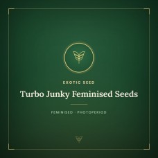 Turbo Junky Feminised Seeds
