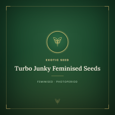 Turbo Junky Feminised Seeds Turbo Junky Feminised Seeds