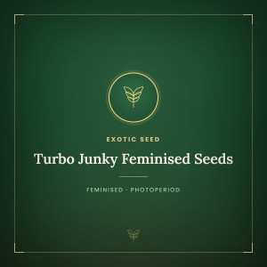 Turbo Junky Feminised Seeds Turbo Junky Feminised Seeds