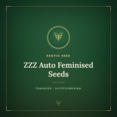 ZZZ Auto Feminised Seeds