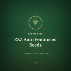 ZZZ Auto Feminised Seeds ZZZ Auto Feminised Seeds