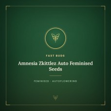 Amnesia Zkittlez Auto Feminised Seeds Amnesia Zkittlez Auto Feminised Seeds