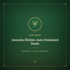 Amnesia Zkittlez Auto Feminised Seeds Amnesia Zkittlez Auto Feminised Seeds