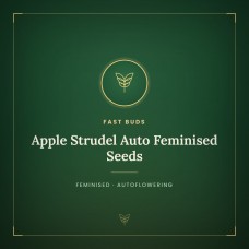 Apple Strudel Auto Feminised Seeds Apple Strudel Auto Feminised Seeds