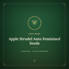Apple Strudel Auto Feminised Seeds Apple Strudel Auto Feminised Seeds
