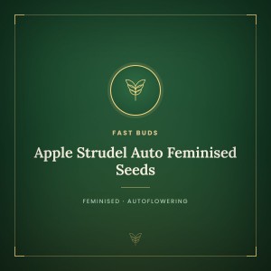 Apple Strudel Auto Feminised Seeds
