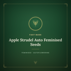 Apple Strudel Auto Feminised Seeds