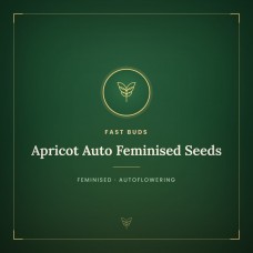 Apricot Auto Feminised Seeds Apricot Auto Feminised Seeds