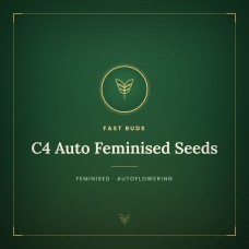 C4 Auto Feminised Seeds