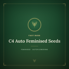 C4 Auto Feminised Seeds C4 Auto Feminised Seeds