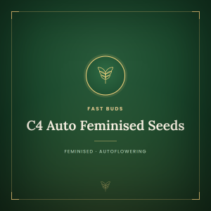 C4 Auto Feminised Seeds C4 Auto Feminised Seeds