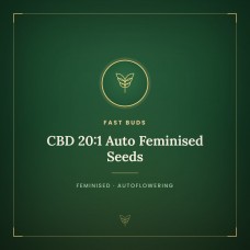 CBD 20:1 Auto Feminised Seeds CBD 20:1 Auto Feminised Seeds