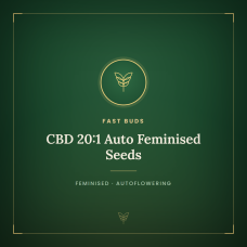 CBD 20:1 Auto Feminised Seeds CBD 20:1 Auto Feminised Seeds