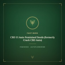 CBD 1:1 Auto Feminised Seeds (formerly Crack CBD Auto) CBD 1:1 Auto Feminised Seeds (formerly Crack CBD Auto)