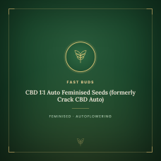 CBD 1:1 Auto Feminised Seeds (formerly Crack CBD Auto) CBD 1:1 Auto Feminised Seeds (formerly Crack CBD Auto)