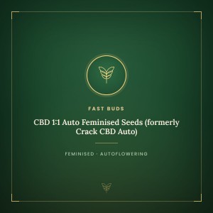 CBD 1:1 Auto Feminised Seeds (formerly Crack CBD Auto) CBD 1:1 Auto Feminised Seeds (formerly Crack CBD Auto)