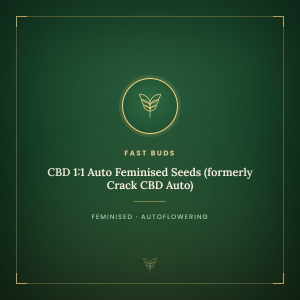 CBD 1:1 Auto Feminised Seeds (formerly Crack CBD Auto) CBD 1:1 Auto Feminised Seeds (formerly Crack CBD Auto)