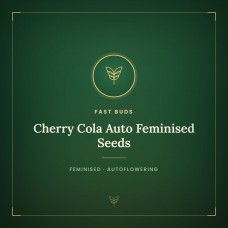 Cherry Cola Auto Feminised Seeds Cherry Cola Auto Feminised Seeds