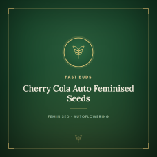 Cherry Cola Auto Feminised Seeds Cherry Cola Auto Feminised Seeds