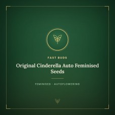 Original Cinderella Auto Feminised Seeds Original Cinderella Auto Feminised Seeds