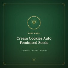 Cream Cookies Auto Feminised Seeds Cream Cookies Auto Feminised Seeds