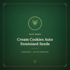 Cream Cookies Auto Feminised Seeds Cream Cookies Auto Feminised Seeds