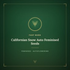 Californian Snow Auto Feminised Seeds Californian Snow Auto Feminised Seeds