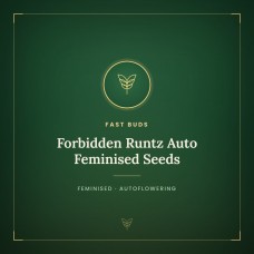 Forbidden Runtz Auto Feminised Seeds Forbidden Runtz Auto Feminised Seeds