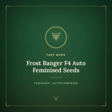 Frost Banger F4 Auto Feminised Seeds Frost Banger F4 Auto Feminised Seeds