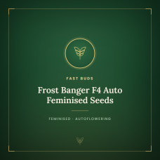 Frost Banger F4 Auto Feminised Seeds Frost Banger F4 Auto Feminised Seeds