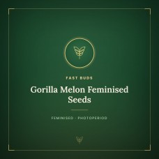 Gorilla Melon Feminised Seeds Gorilla Melon Feminised Seeds