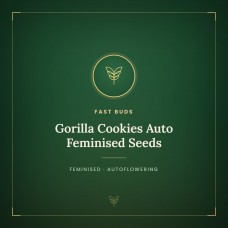 Gorilla Cookies Auto Feminised Seeds Gorilla Cookies Auto Feminised Seeds