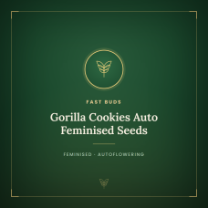 Gorilla Cookies Auto Feminised Seeds Gorilla Cookies Auto Feminised Seeds