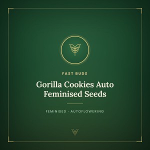 Gorilla Cookies Auto Feminised Seeds Gorilla Cookies Auto Feminised Seeds