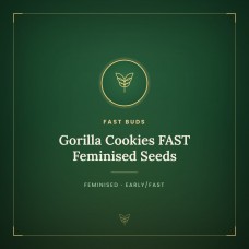Gorilla Cookies FAST Feminised Seeds Gorilla Cookies FAST Feminised Seeds