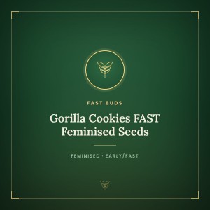 Gorilla Cookies FAST Feminised Seeds Gorilla Cookies FAST Feminised Seeds