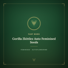 Gorilla Zkittlez Auto Feminised Seeds Gorilla Zkittlez Auto Feminised Seeds